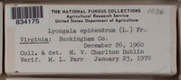 Image Associated With the Occurence